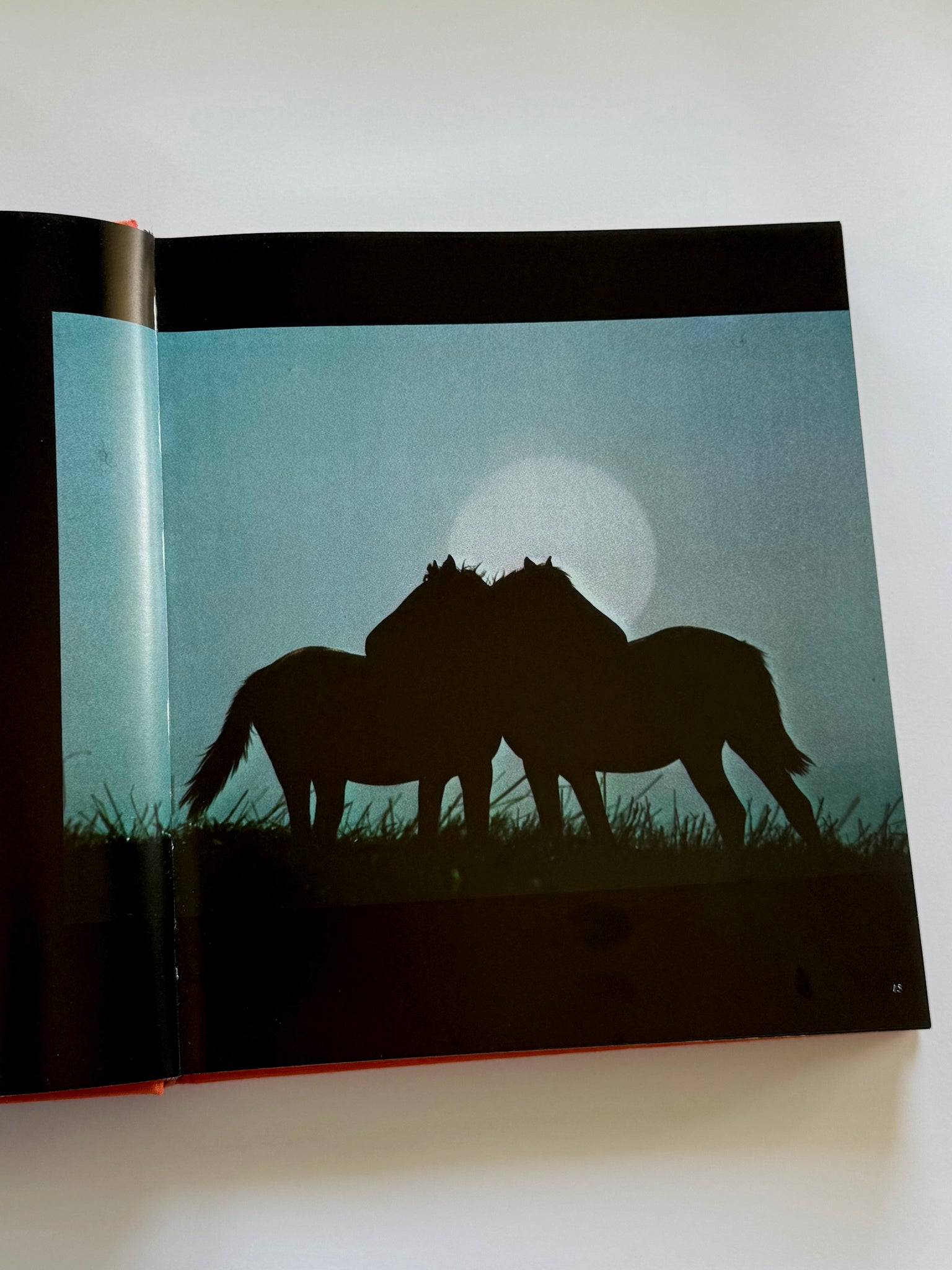Equus: The creation of a horse