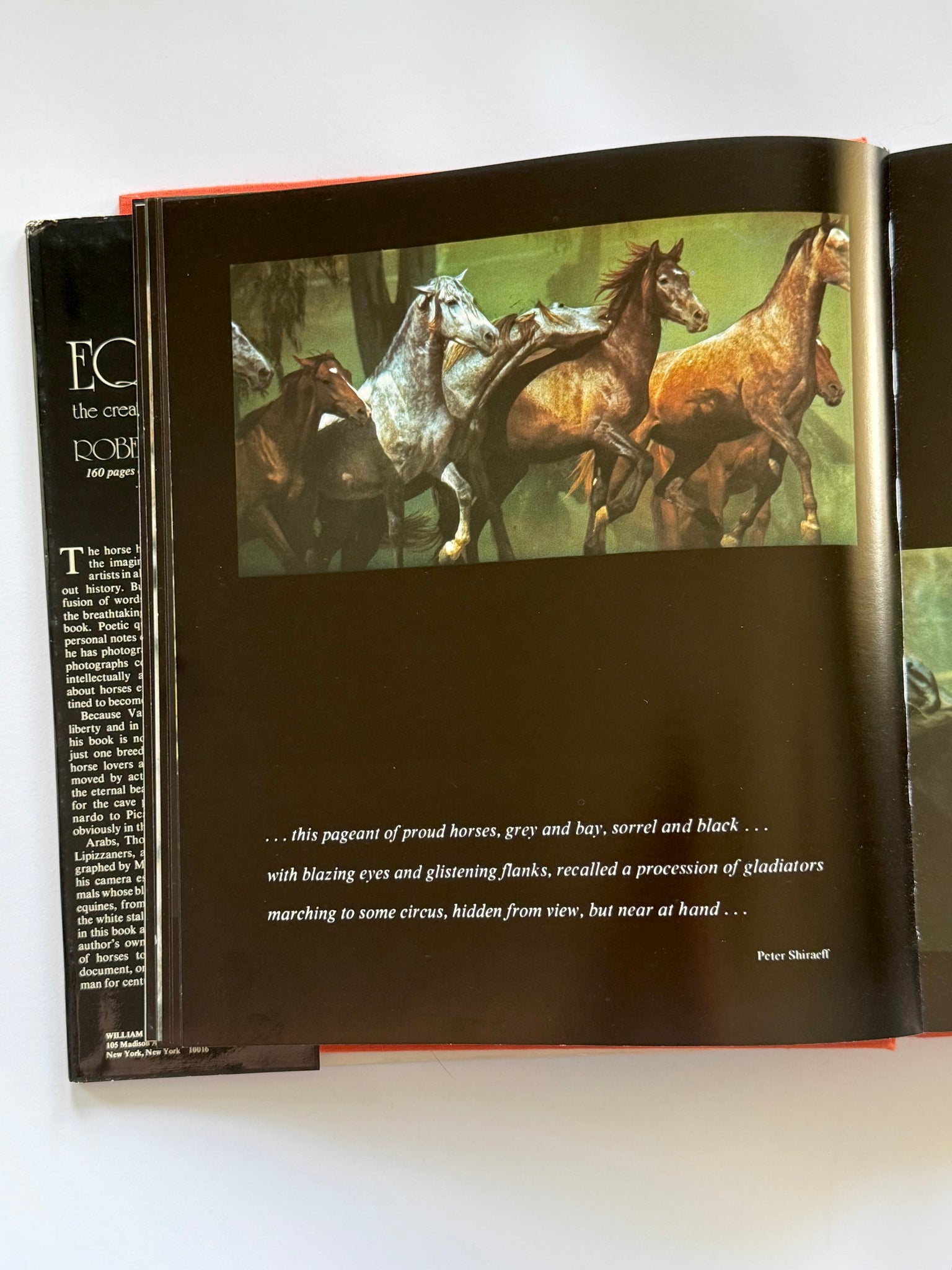Equus: The creation of a horse
