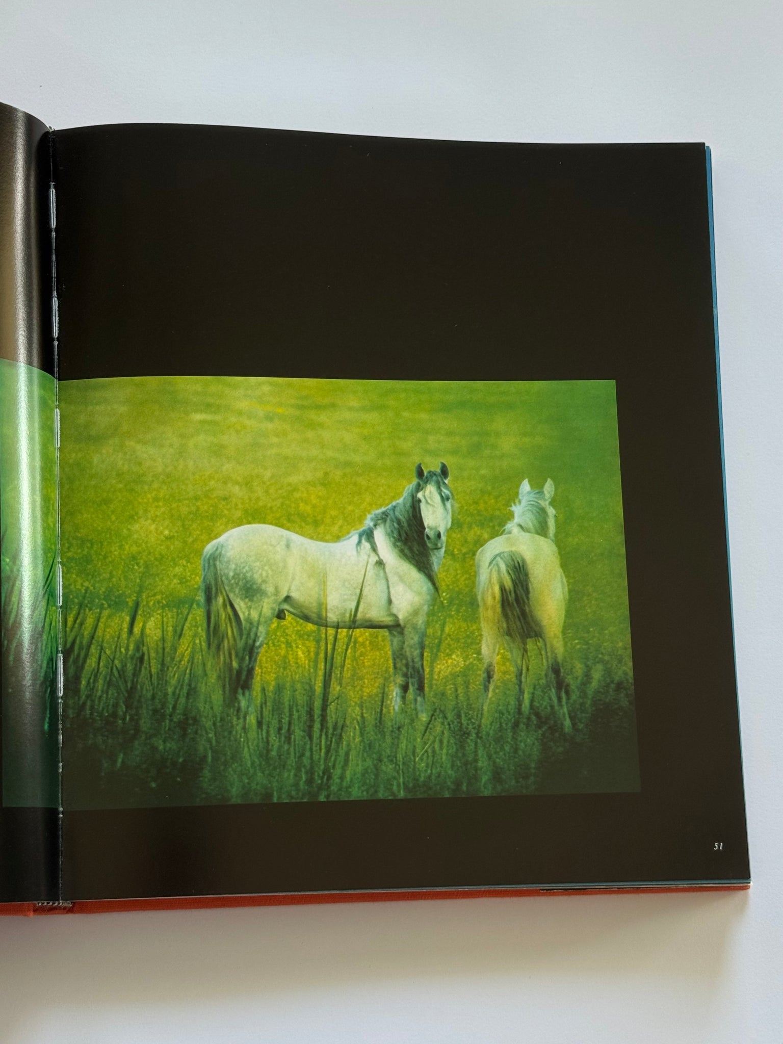Equus: The creation of a horse