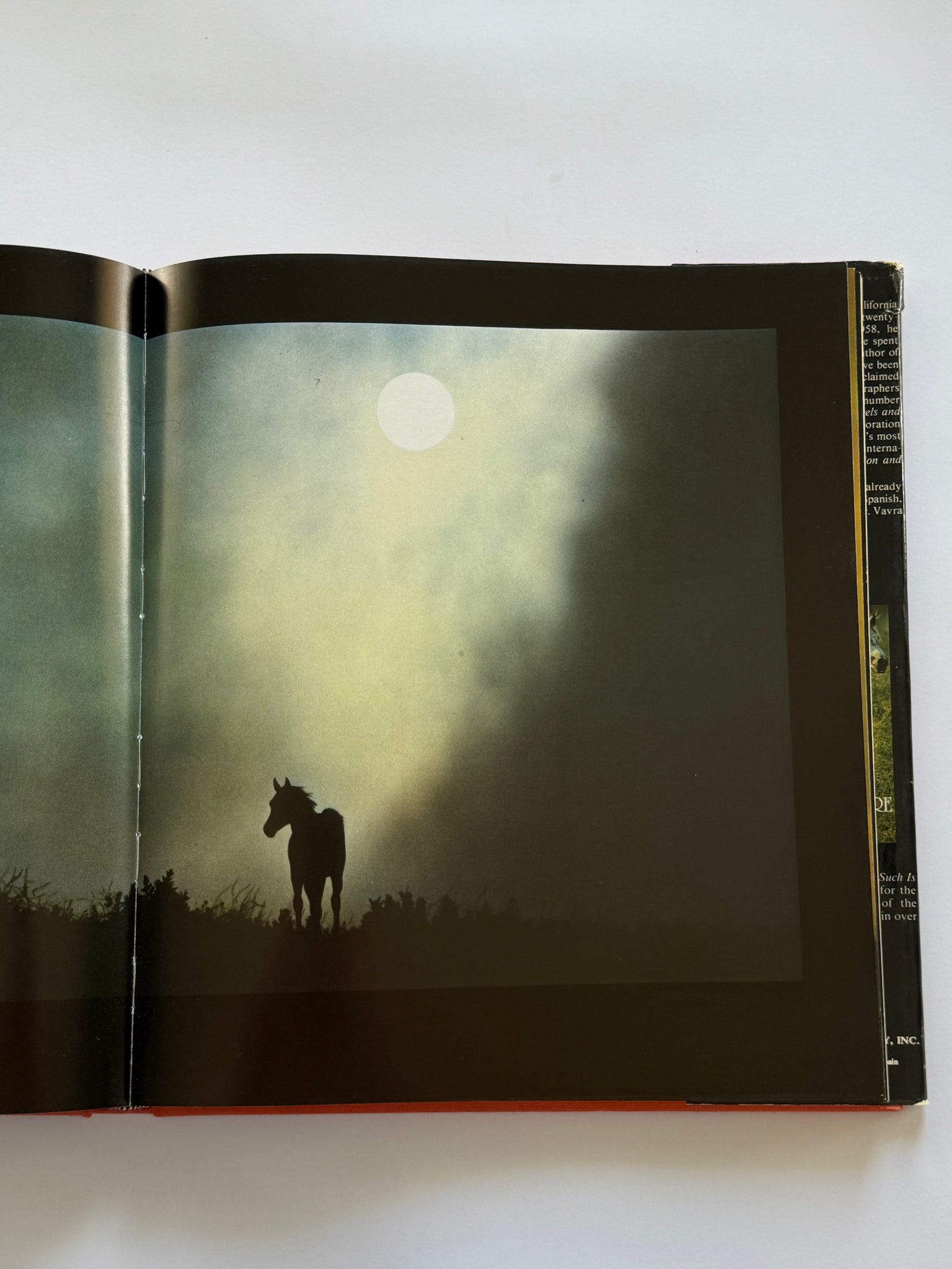 Equus: The creation of a horse