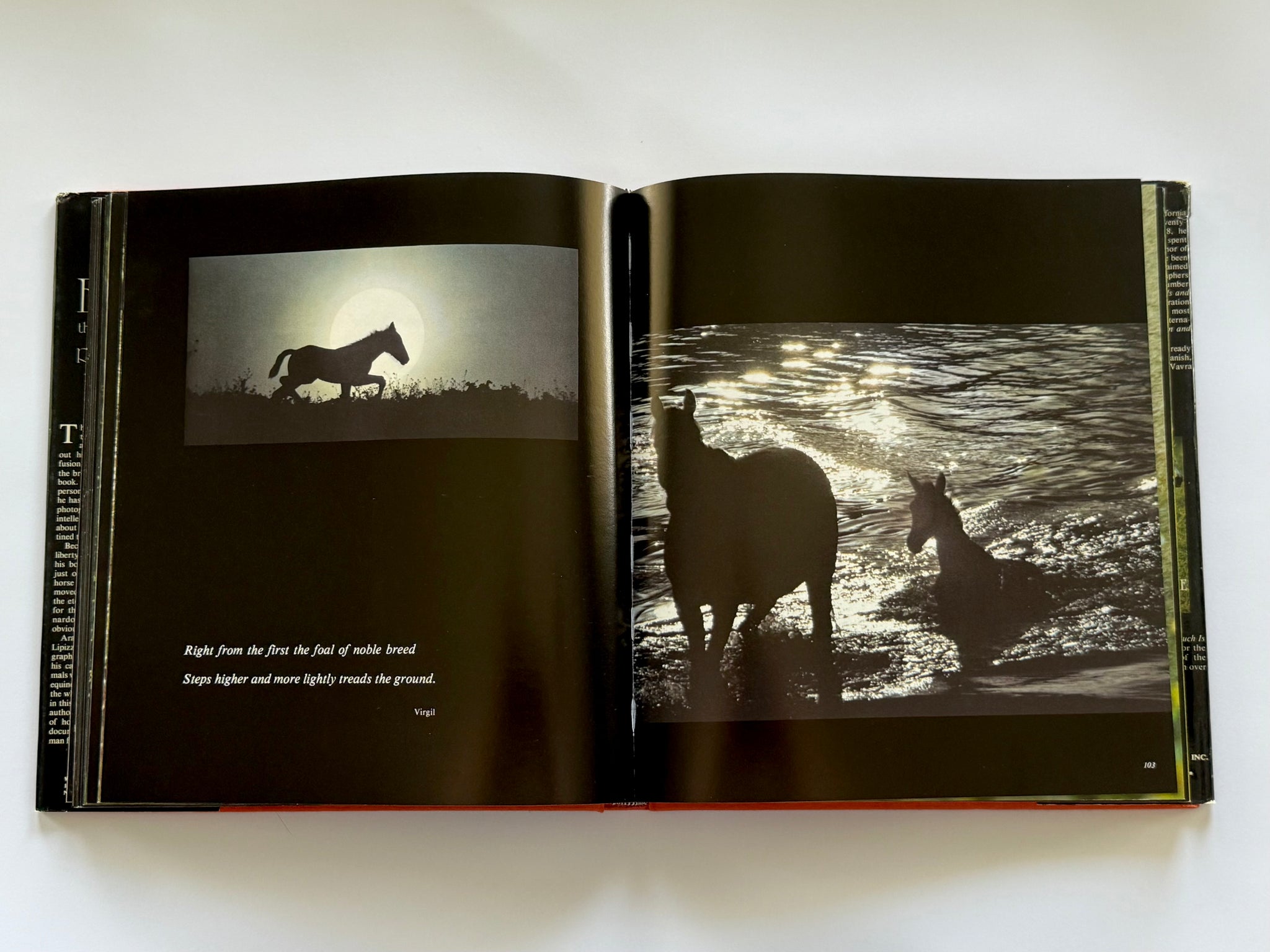 Equus: The creation of a horse