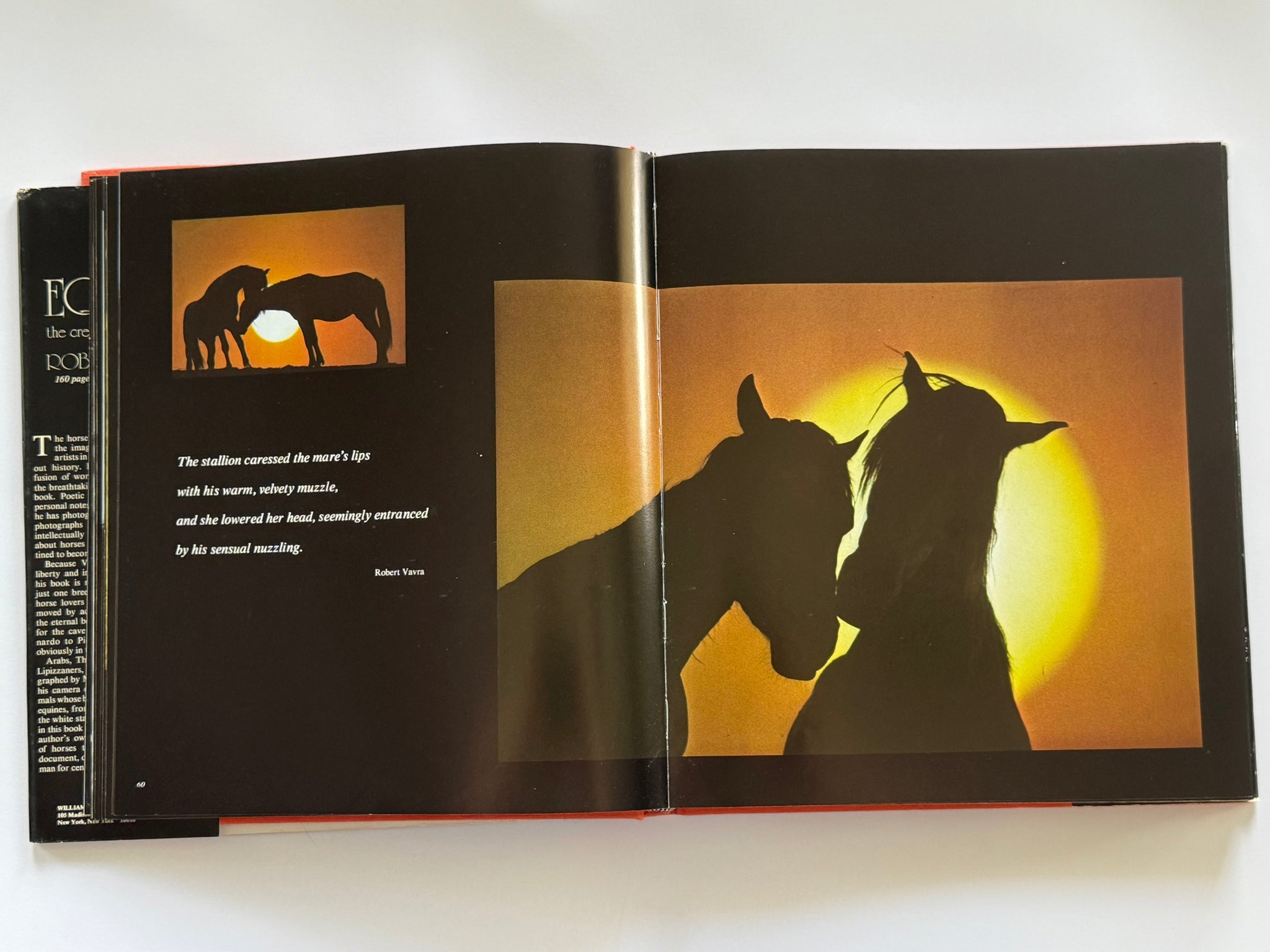 Equus: The creation of a horse
