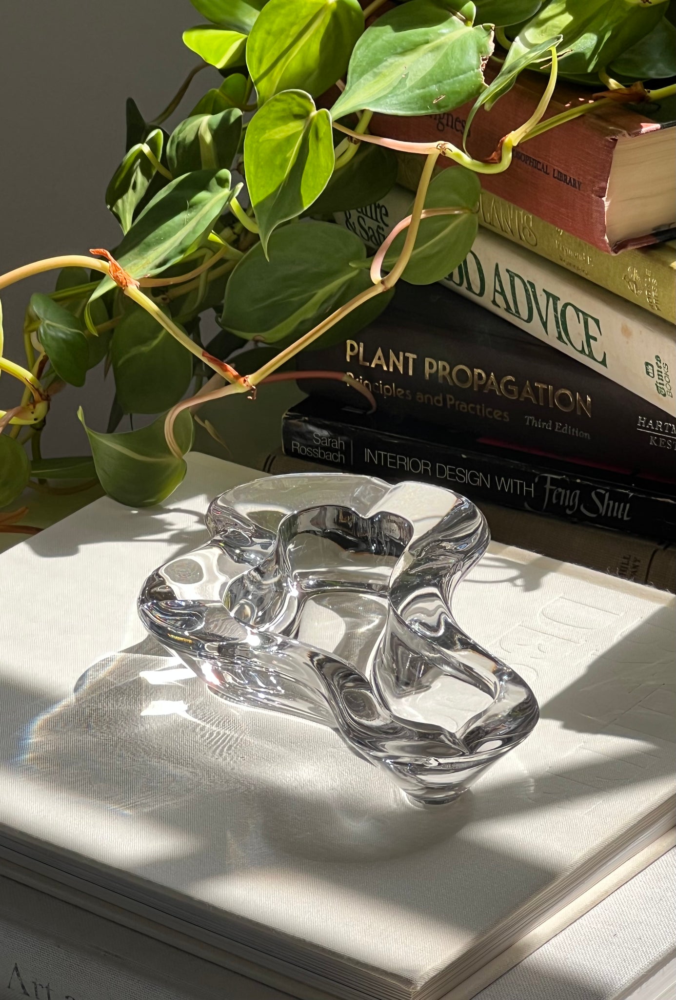 FREEFORM GLASS ASHTRAY