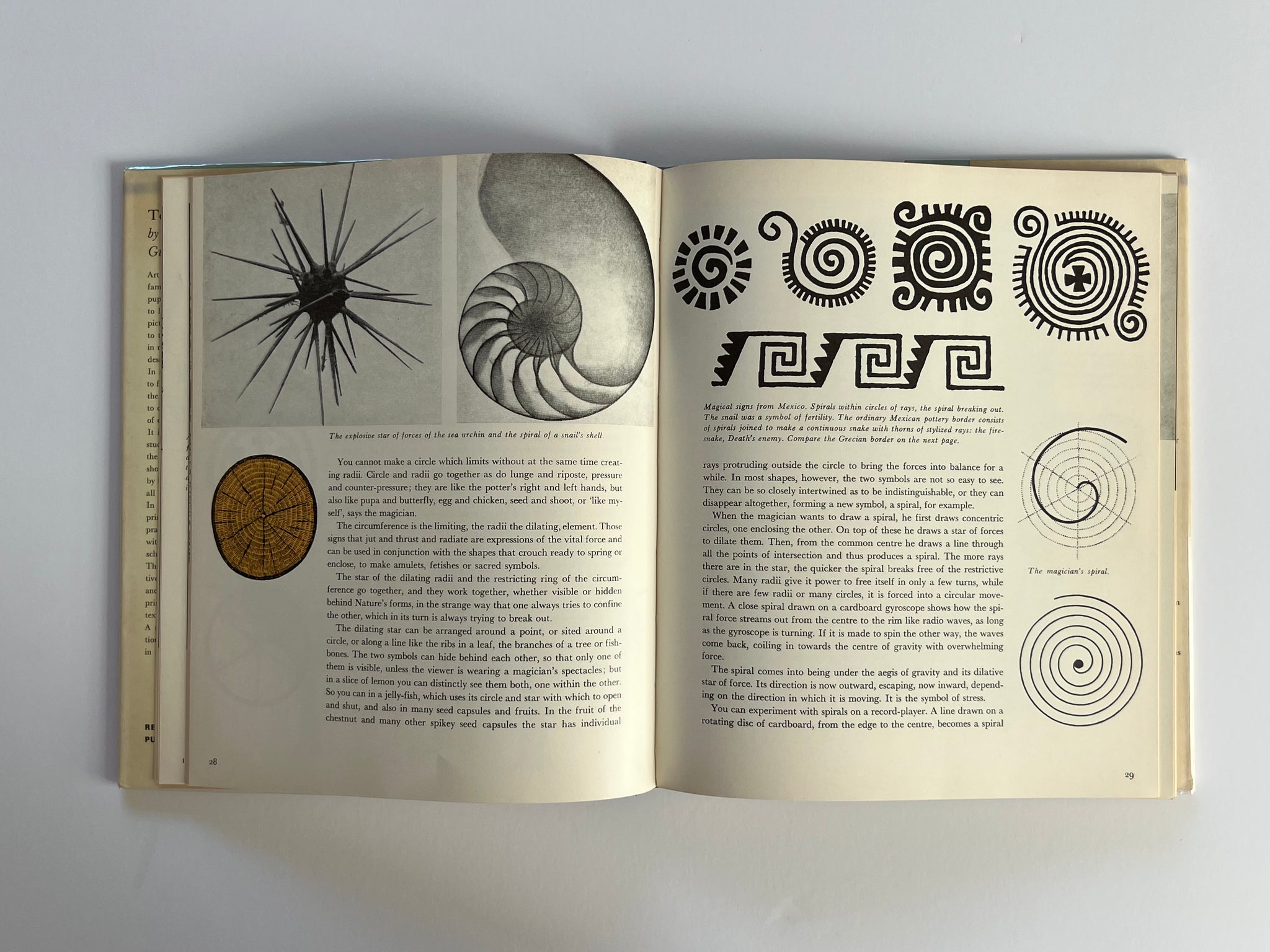 Teaching Design + Form By Gunnar Sneum