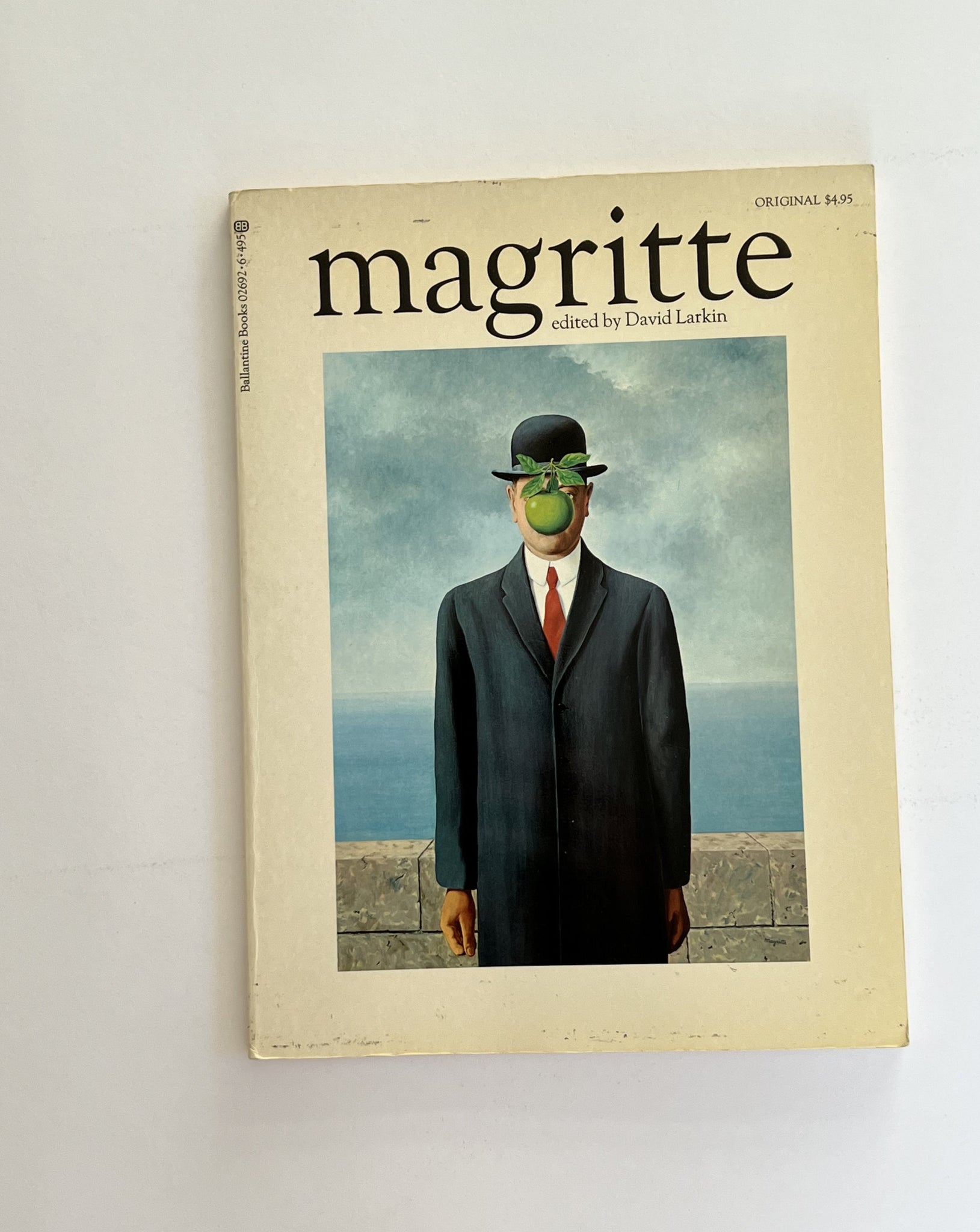 Magritte by David Larkin