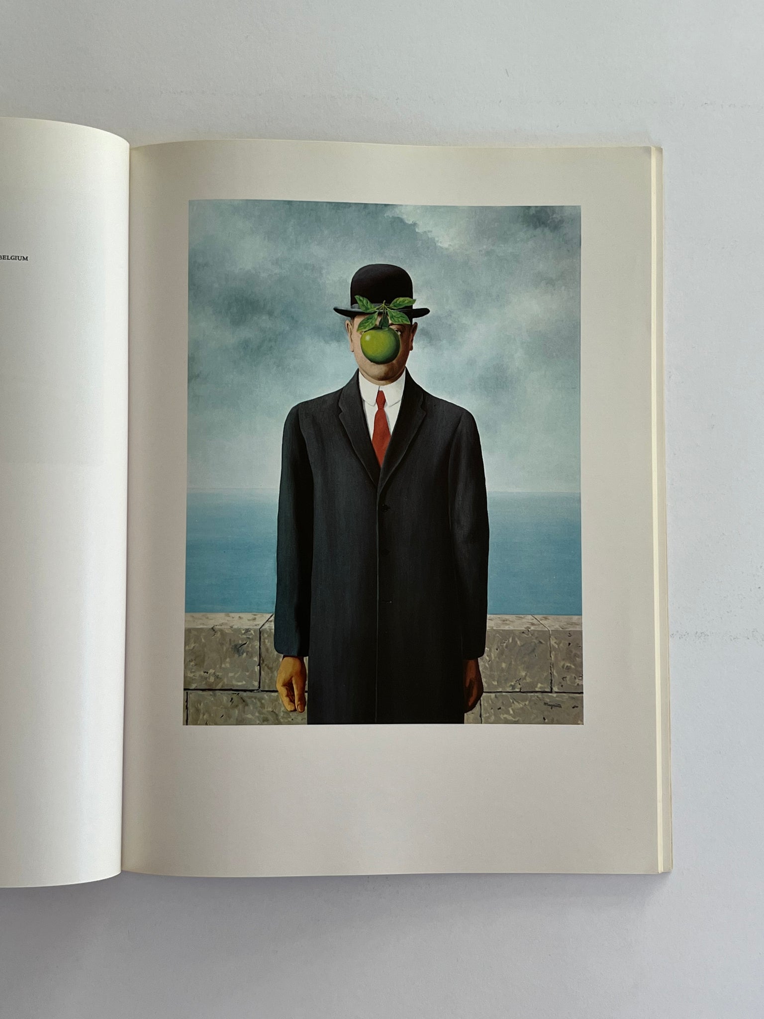 Magritte by David Larkin