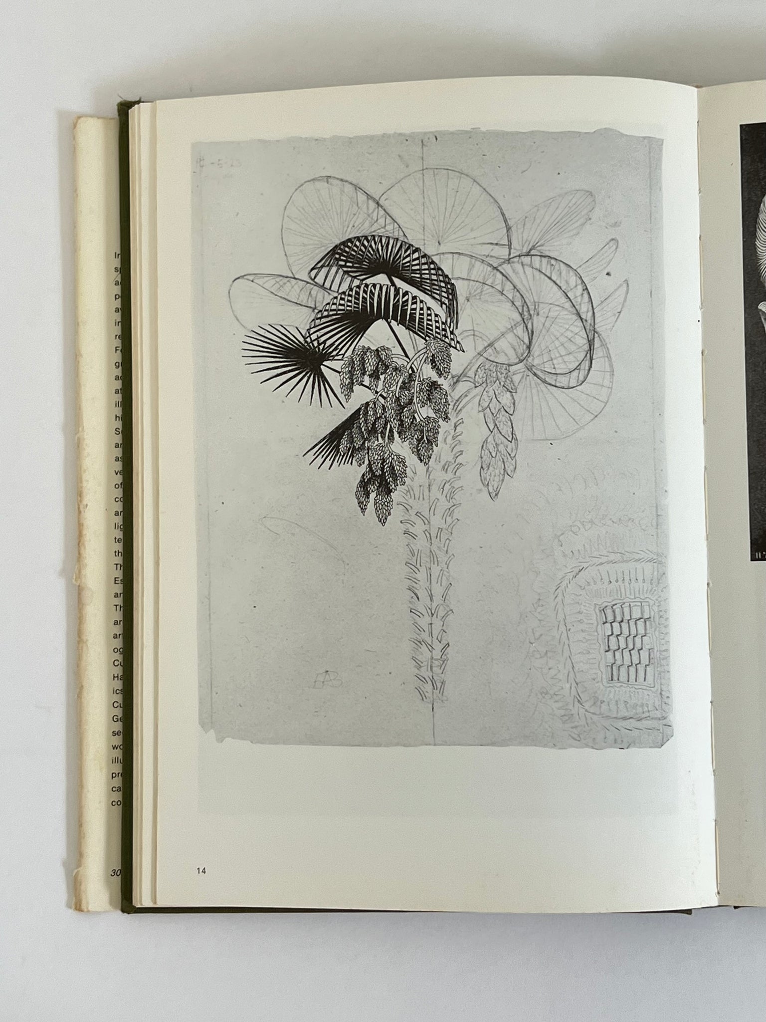 THE WORLD OF M.C. ESCHER