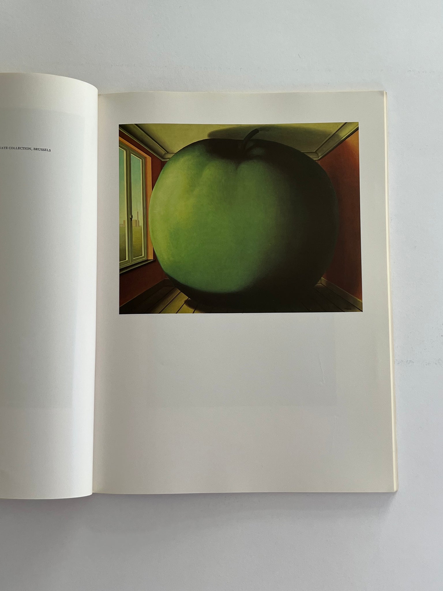 Magritte by David Larkin