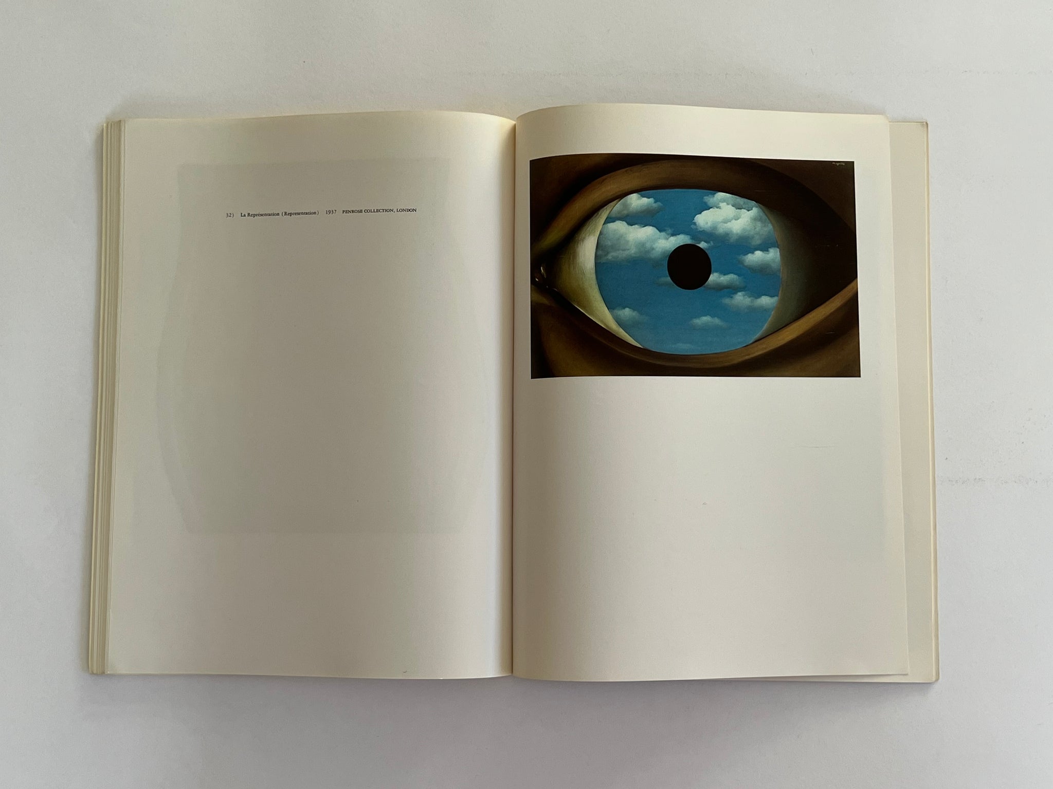 Magritte by David Larkin