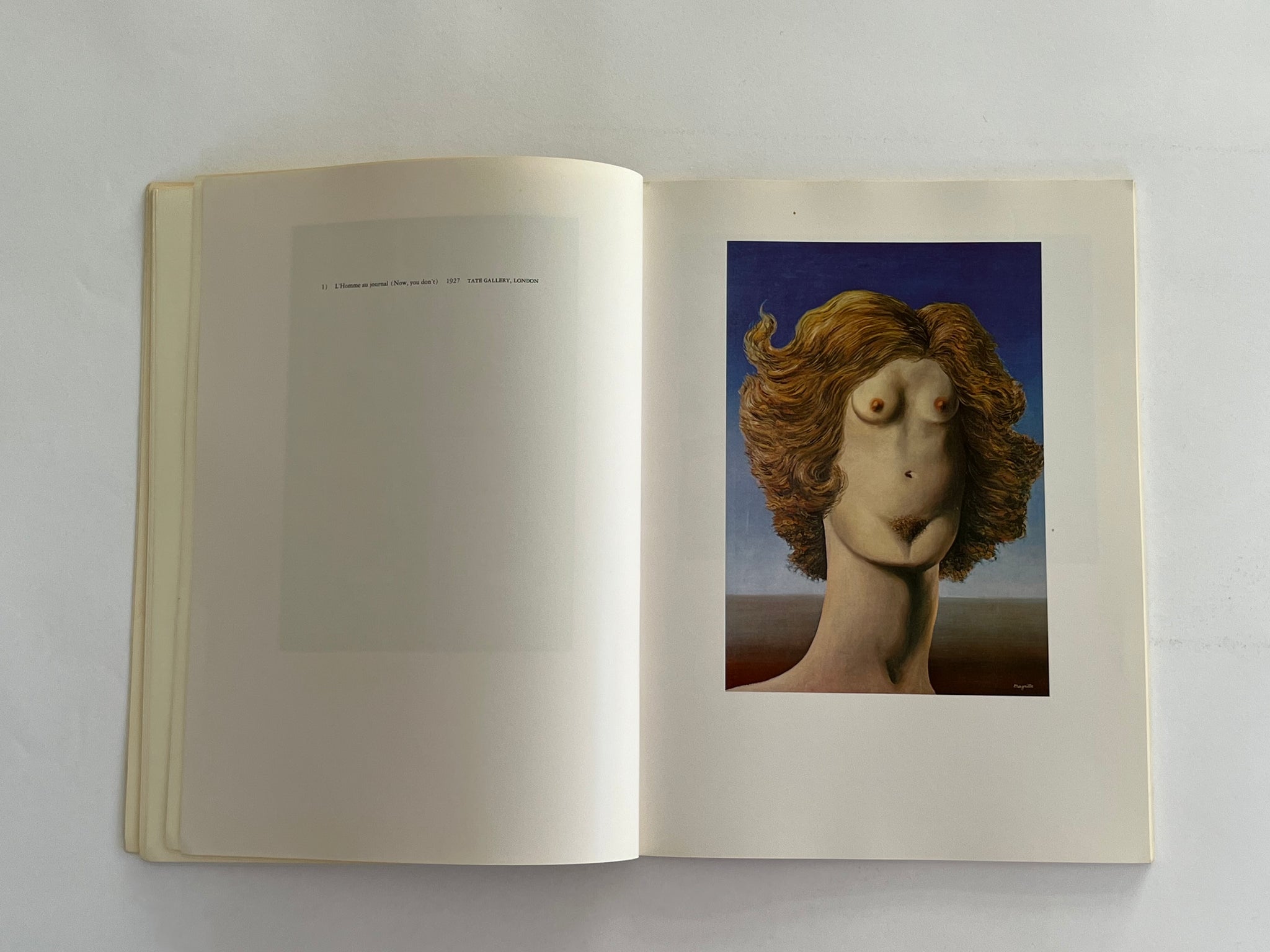 Magritte by David Larkin