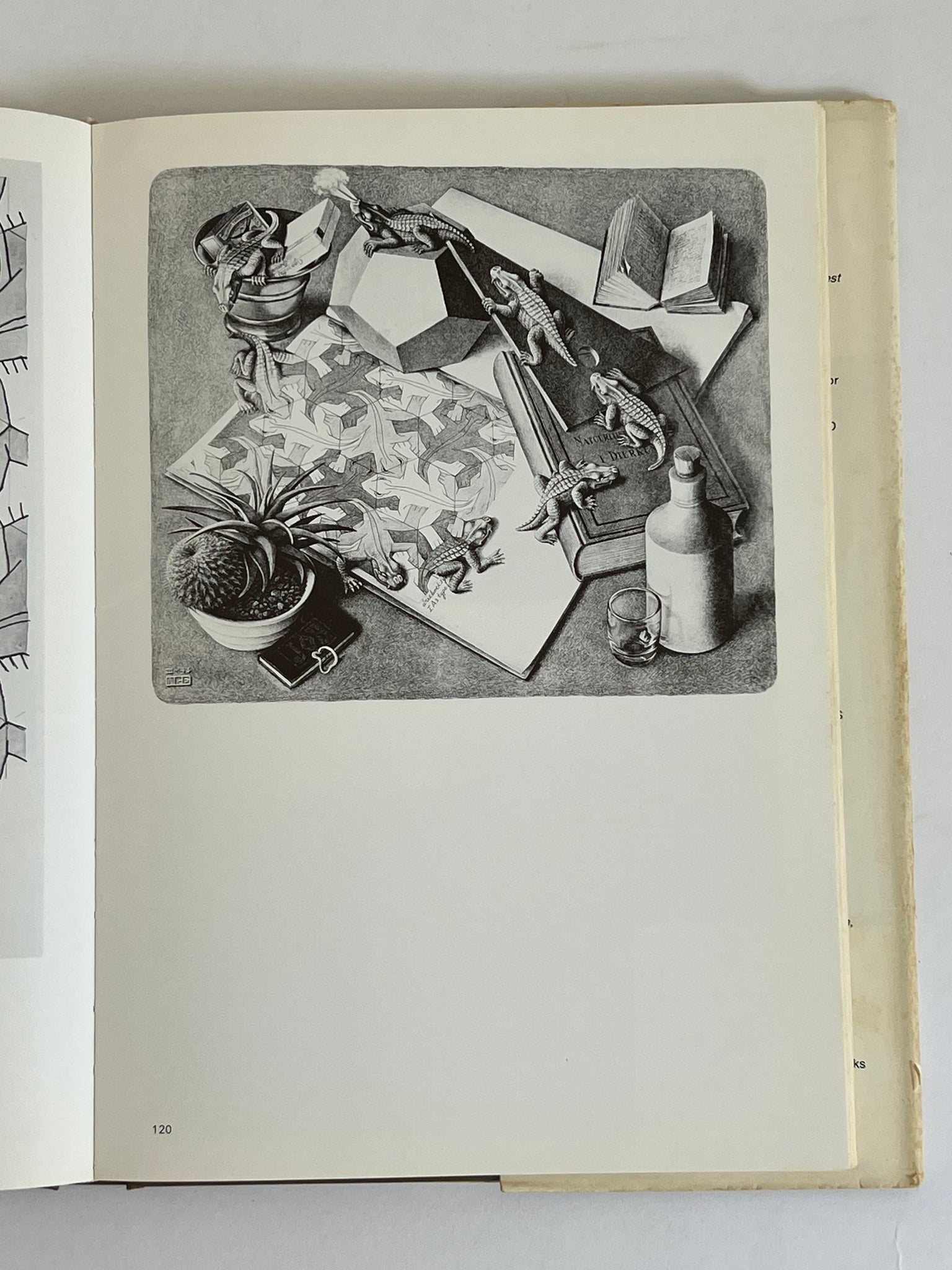 THE WORLD OF M.C. ESCHER